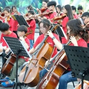 World String Day Tanglewood Music School
