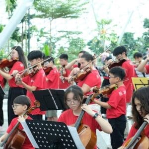 World String Day Tanglewood Music School