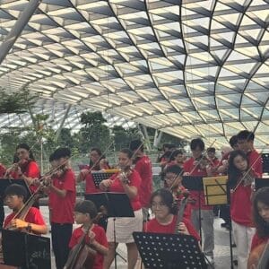 World String Day Tanglewood Music School