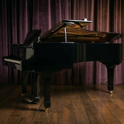 Piano Lessons in Bukit Timah