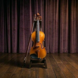 Violin Lessons in Bukit Timah